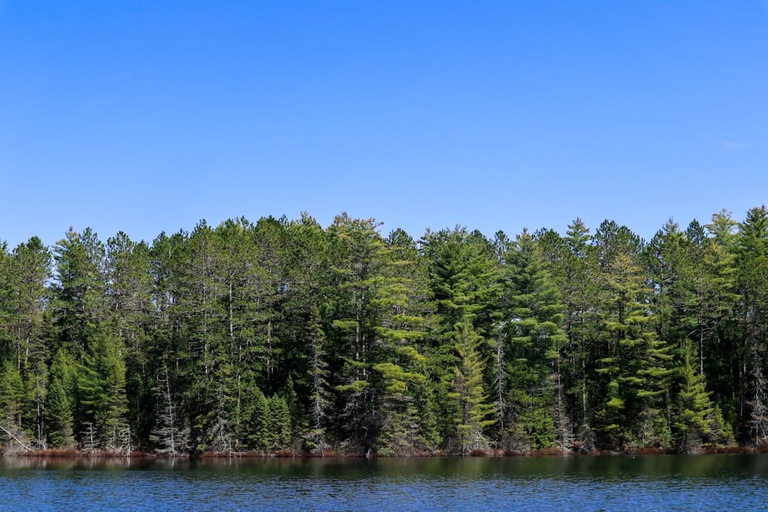 Algonquin Provincial Park