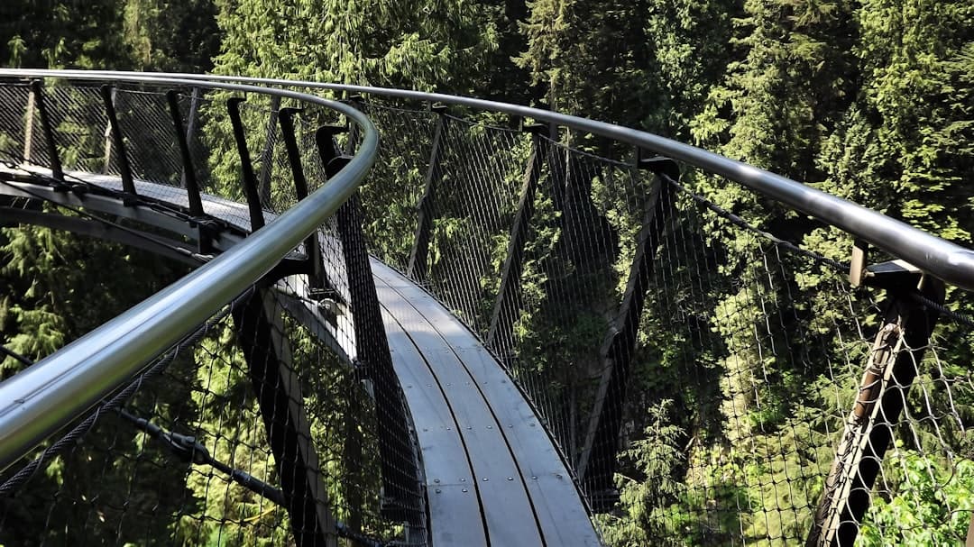 Capilano Suspension Bridge
