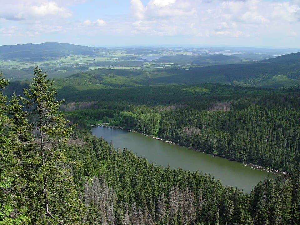 Šumava National Park