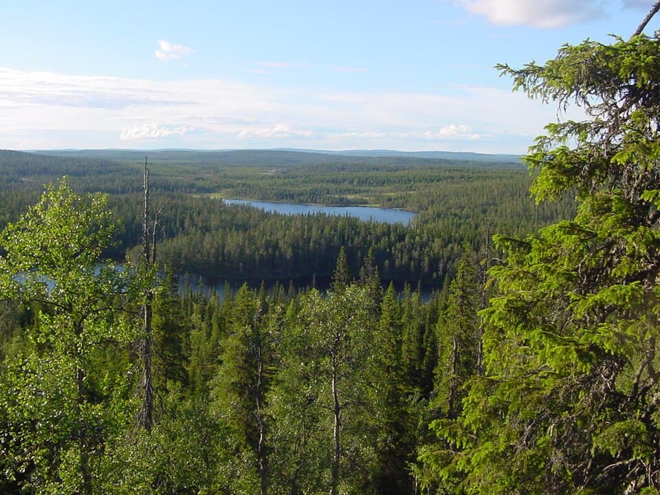 Riisitunturi National Park