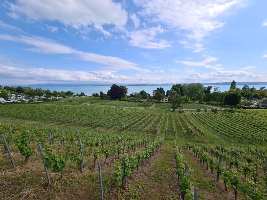 Lake Constance