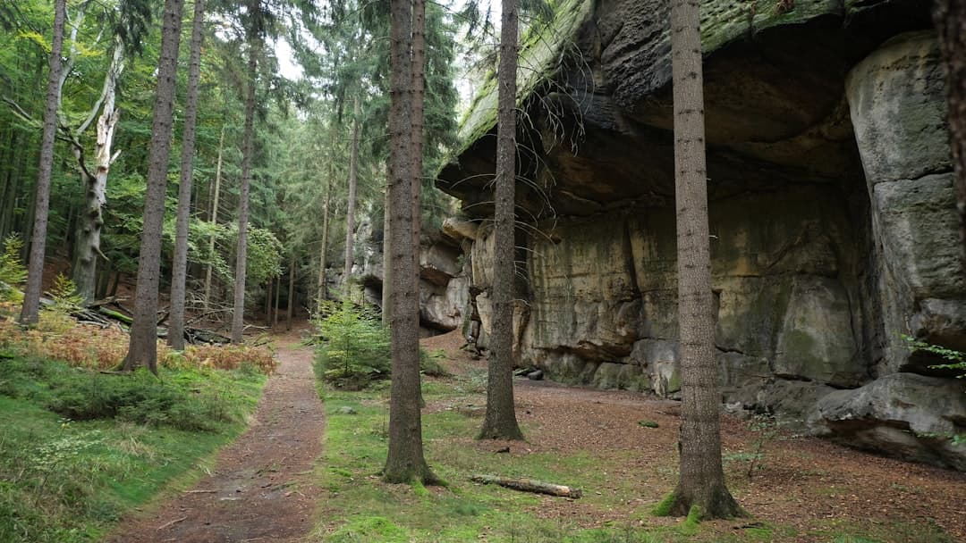 Saxon Switzerland National Park