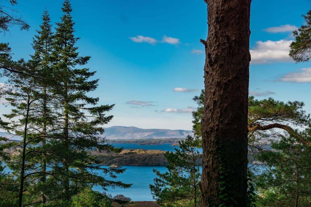 Killarney National Park