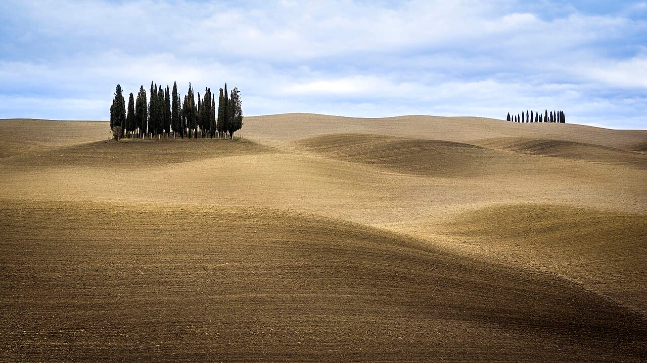 Tuscany Wine Country