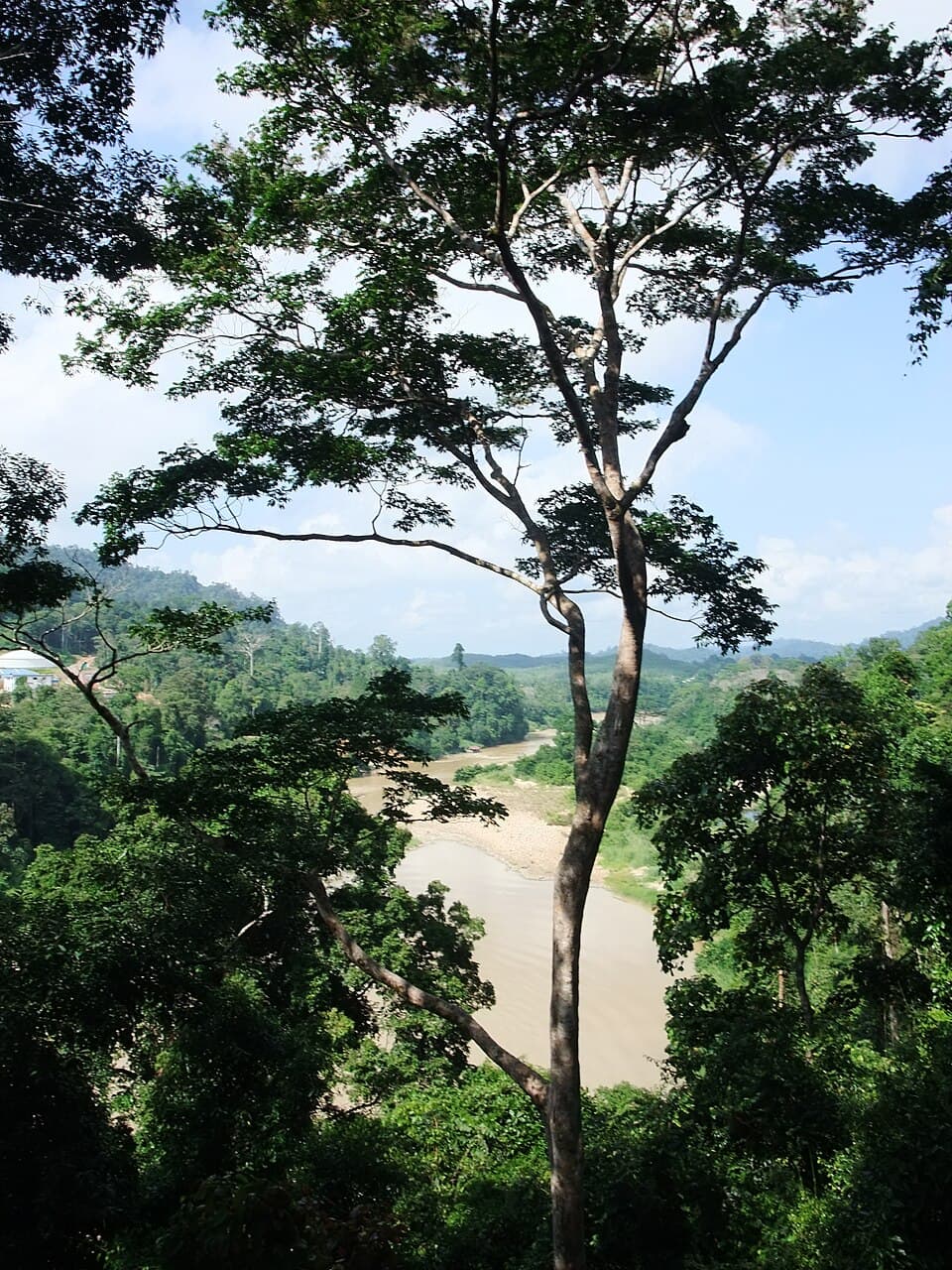 Taman Negara National Park