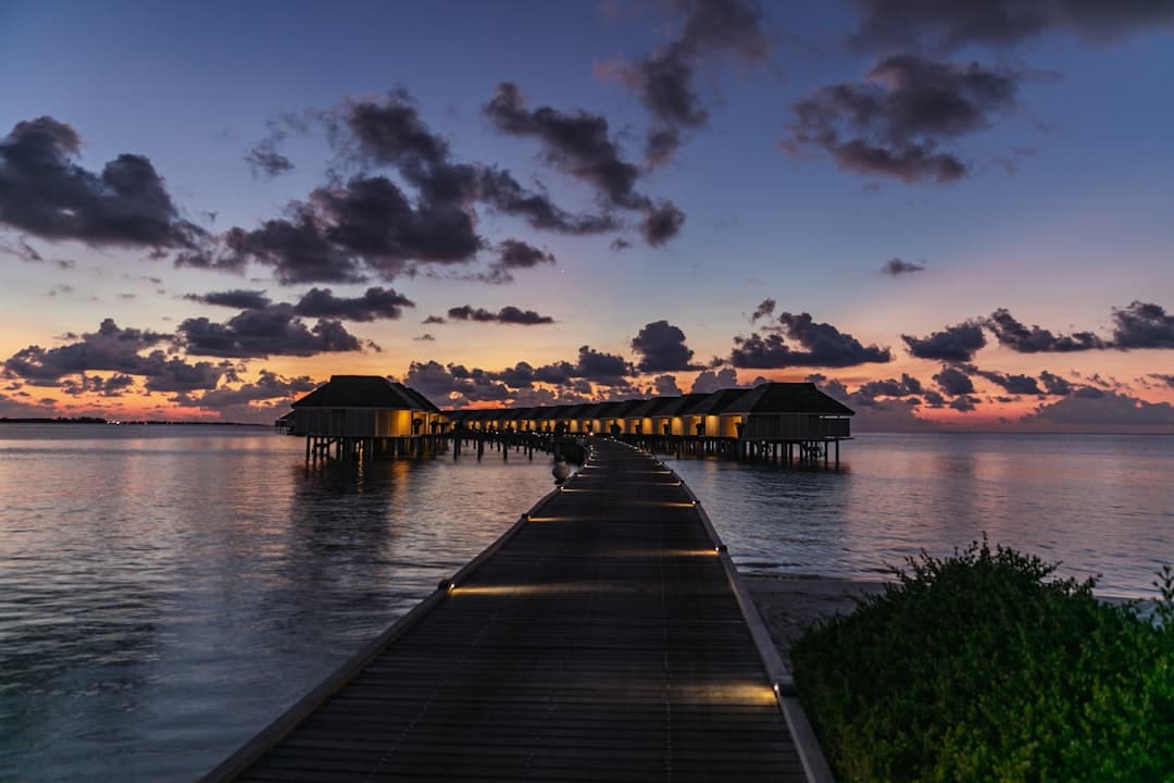 Ari Atoll (Whale Sharks)