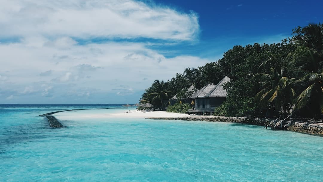 Banana Reef