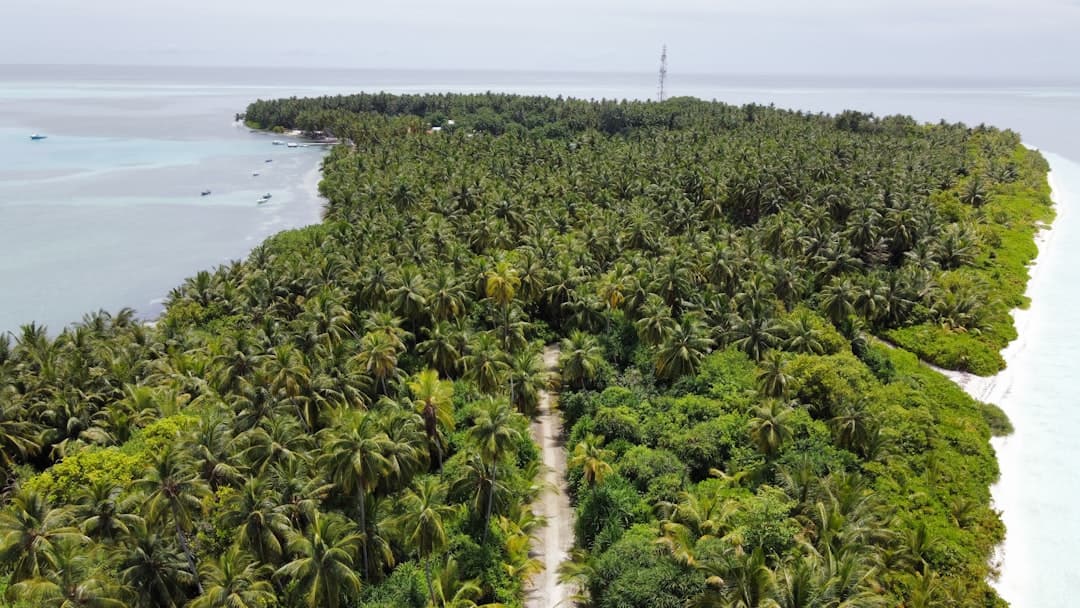 Dhigurah