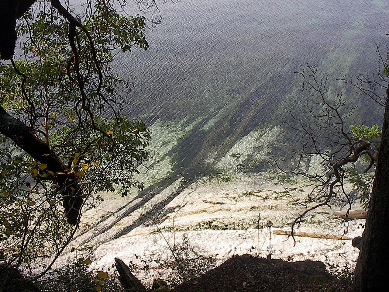 HP Reef