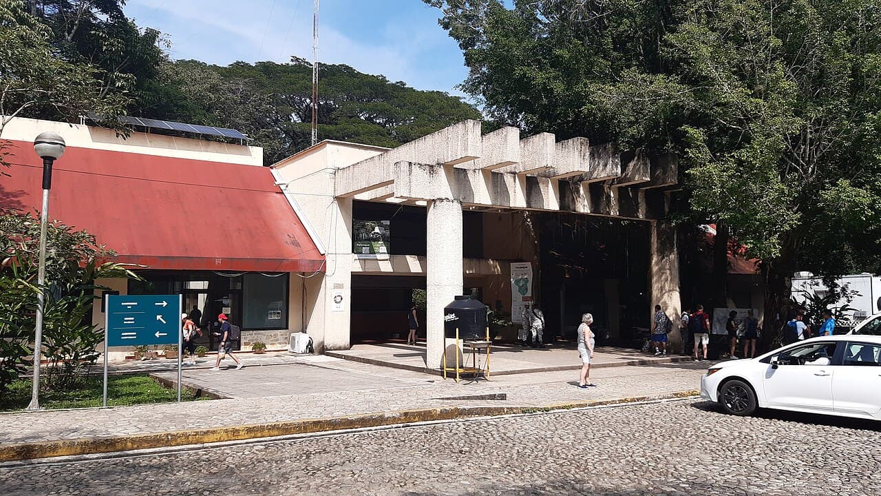 Palenque National Park