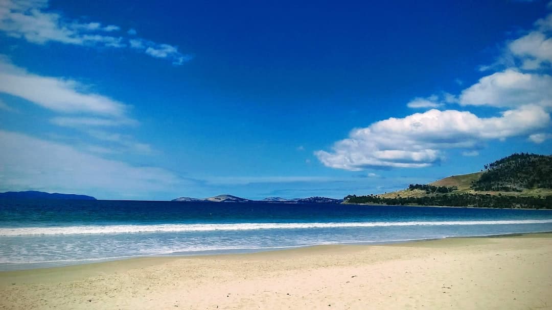 Coromandel Peninsula (Hot Water Beach)