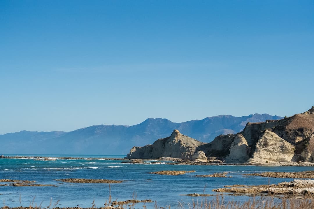 Kaikoura (Whale Watching)