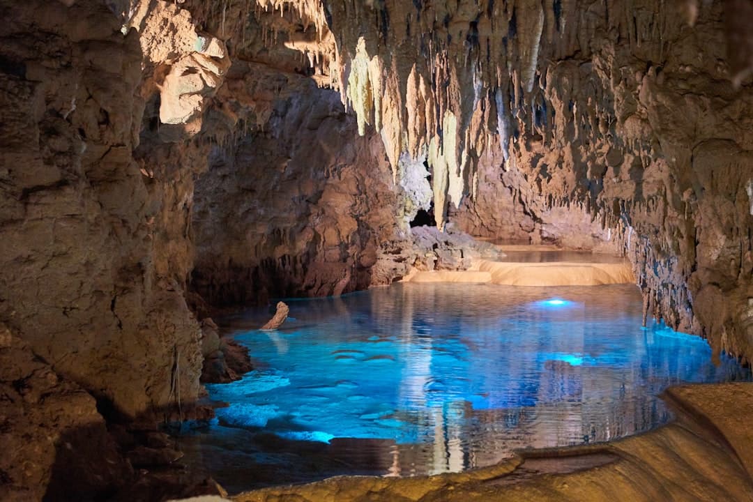 Waitomo Glowworm Caves
