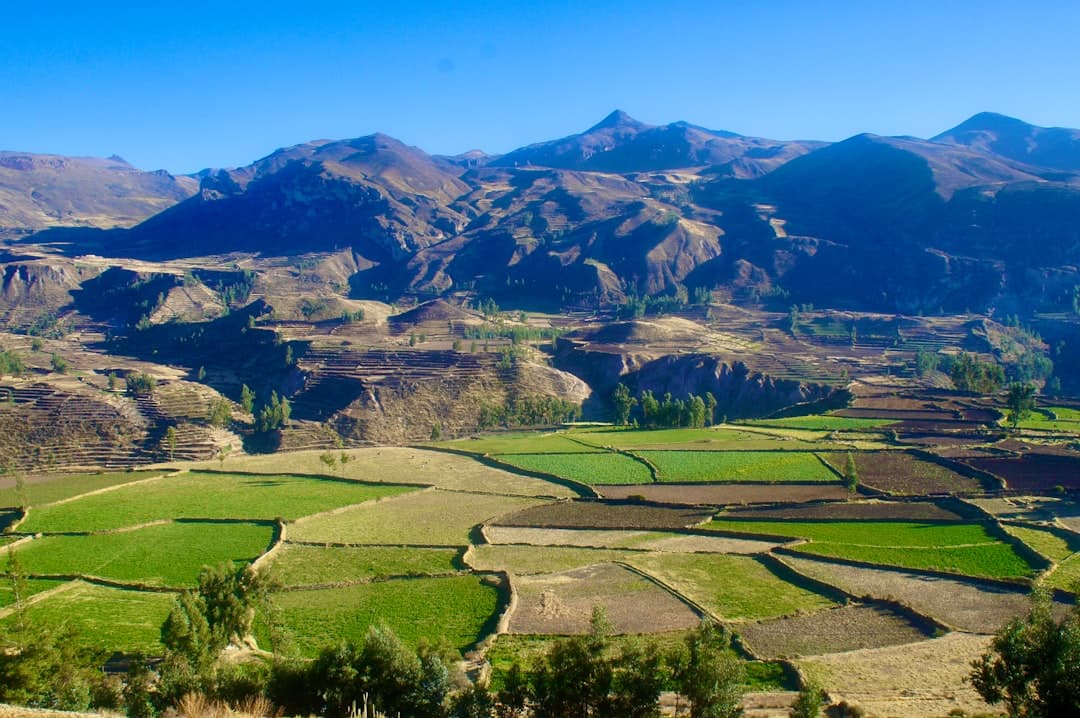Colca Canyon