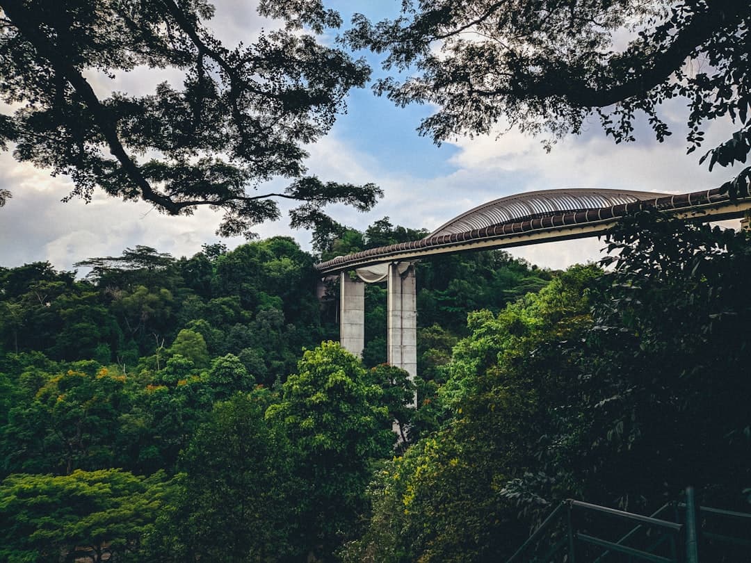 Henderson Waves