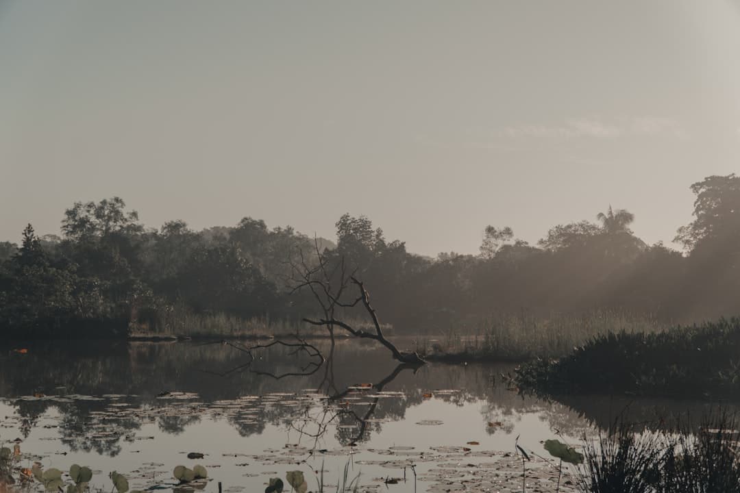 Pulau Ubin