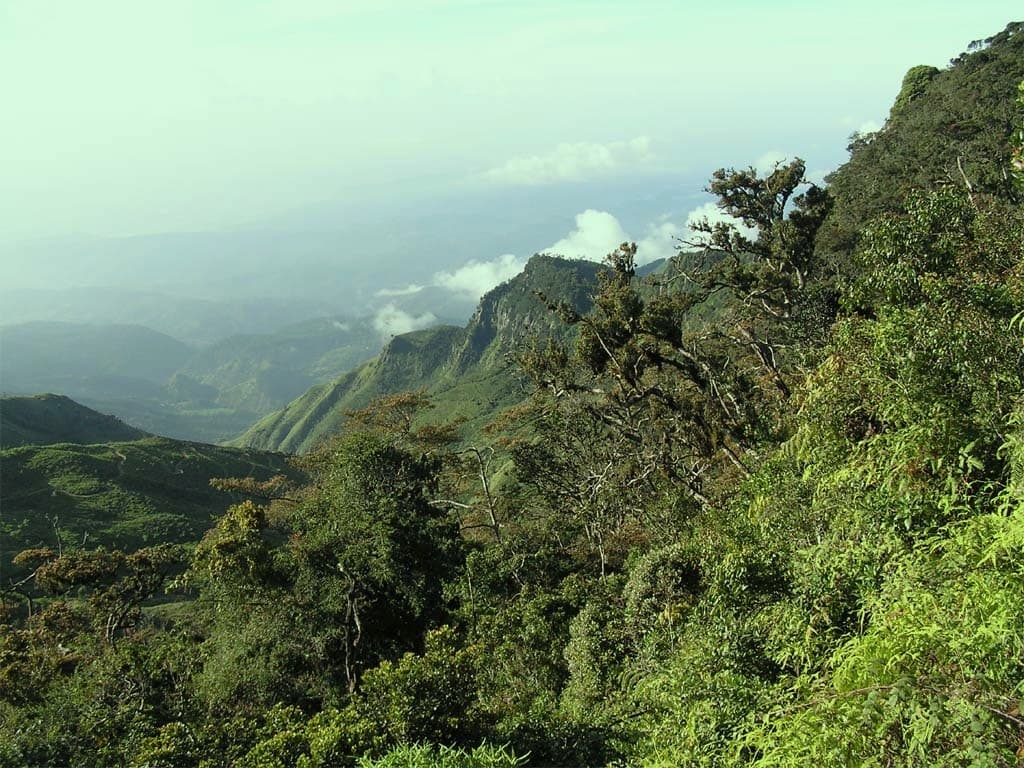 Adam's Peak (Sri Pada)