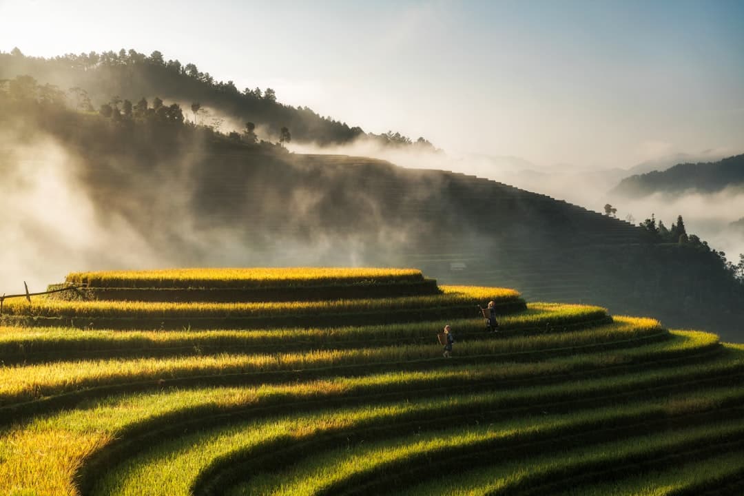 Sapa Terraces