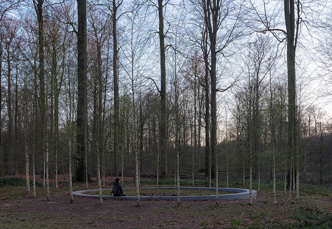 Sonian Forest
