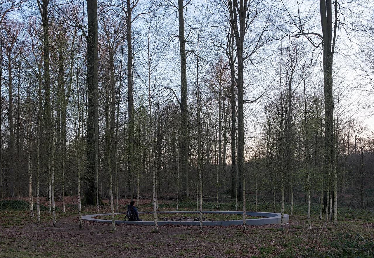 Sonian Forest