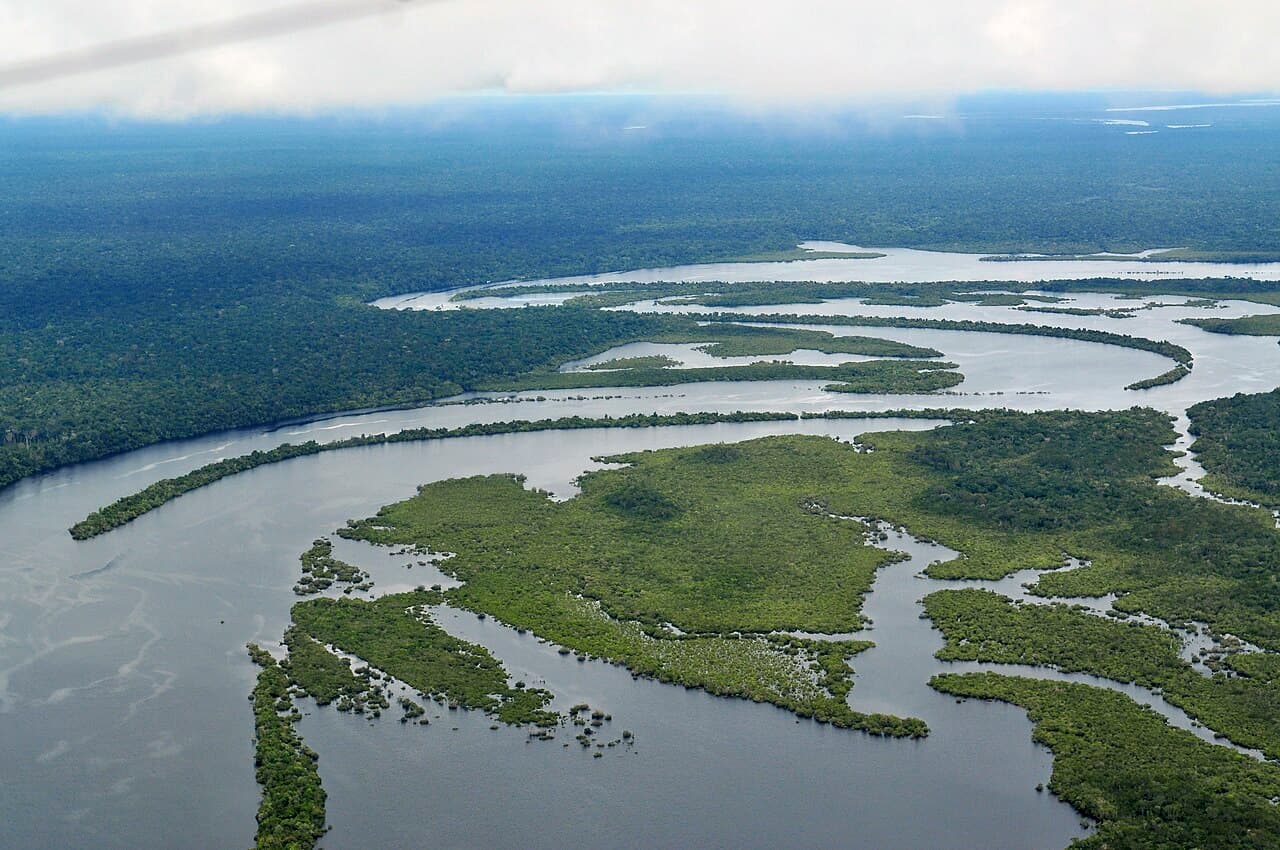 Amazon Rainforest