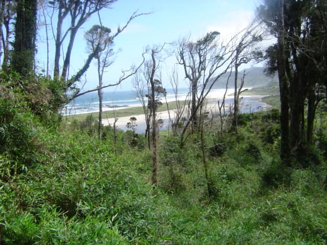 Chiloé Island & Wooden Churches