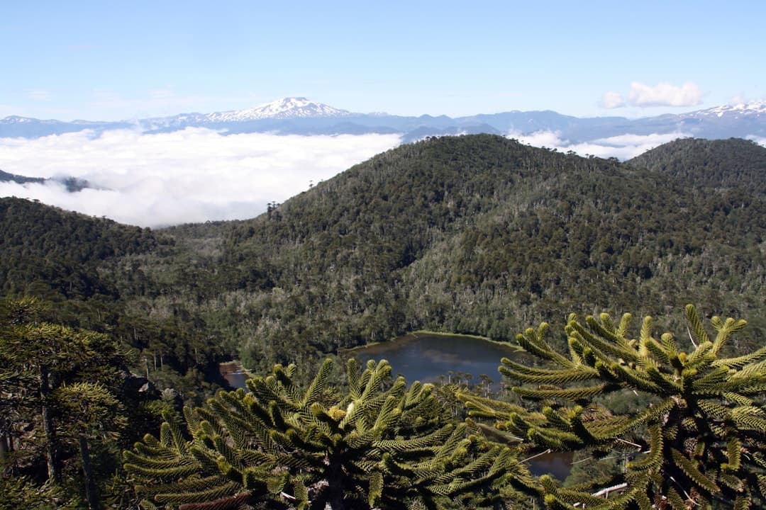 Pucón