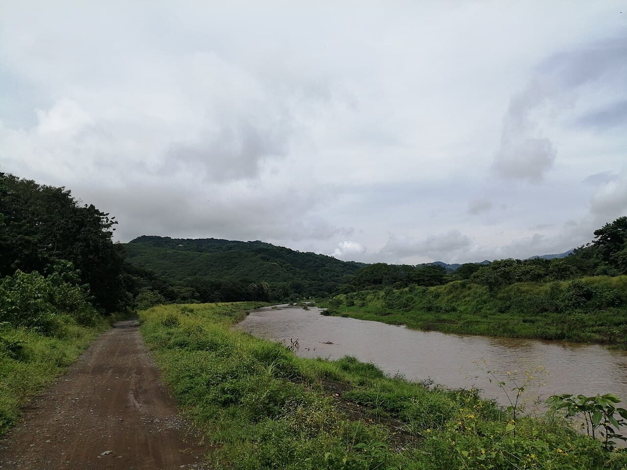 Nosara