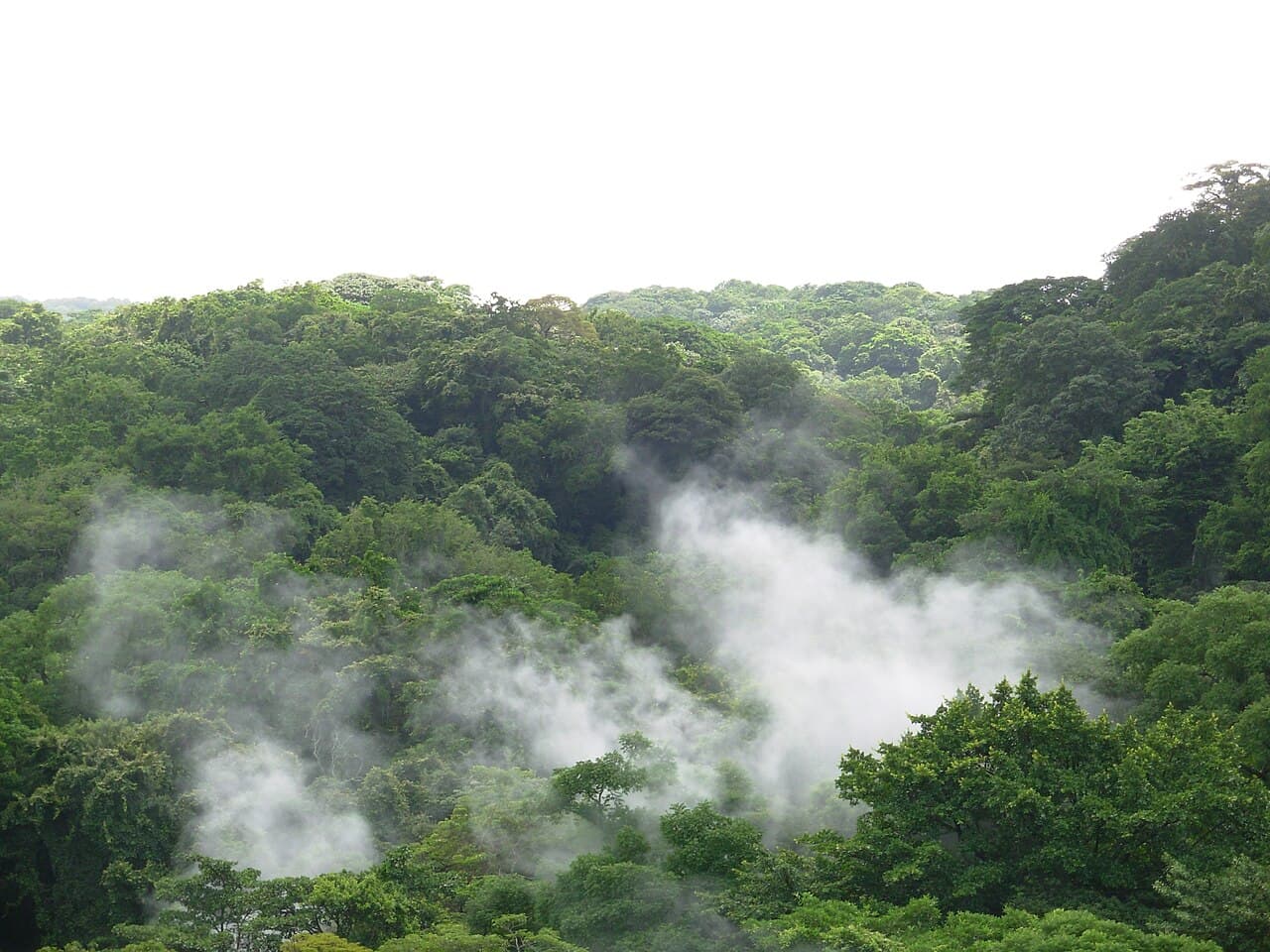 Rincon de la Vieja