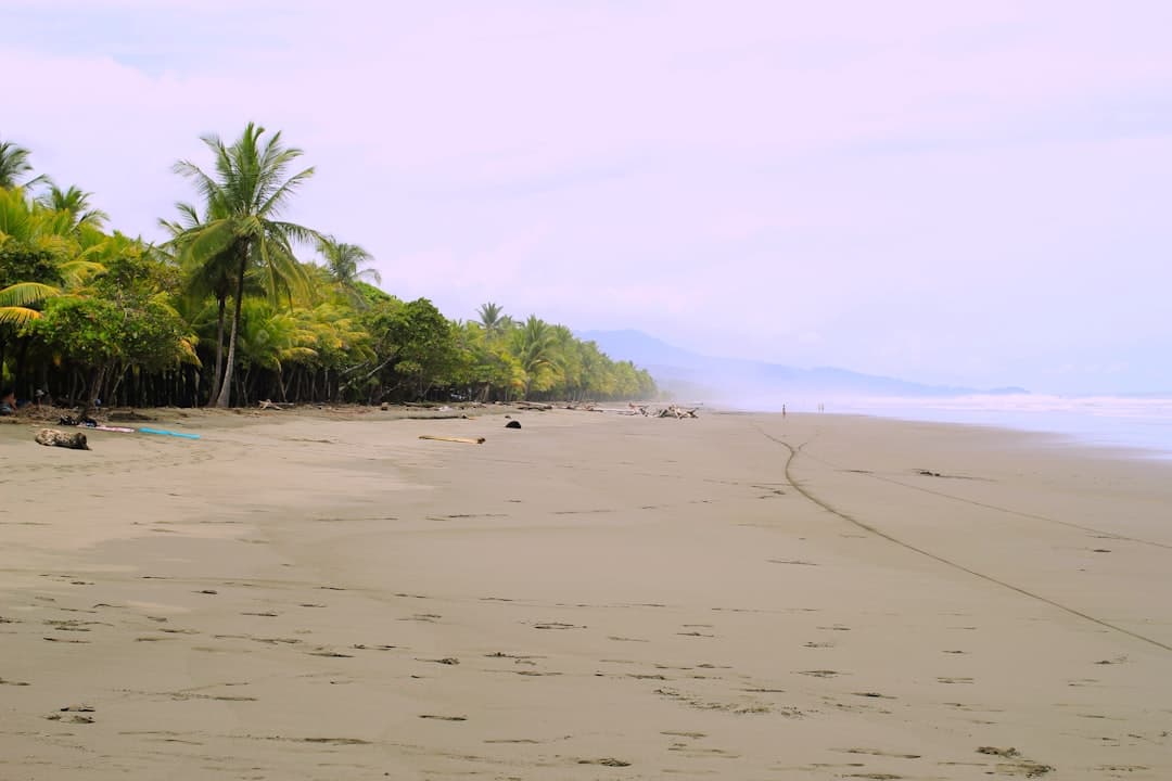 Uvita (Whale Tail)