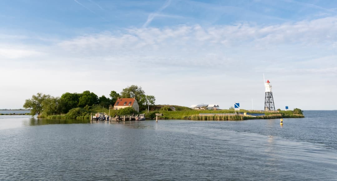 Ribe