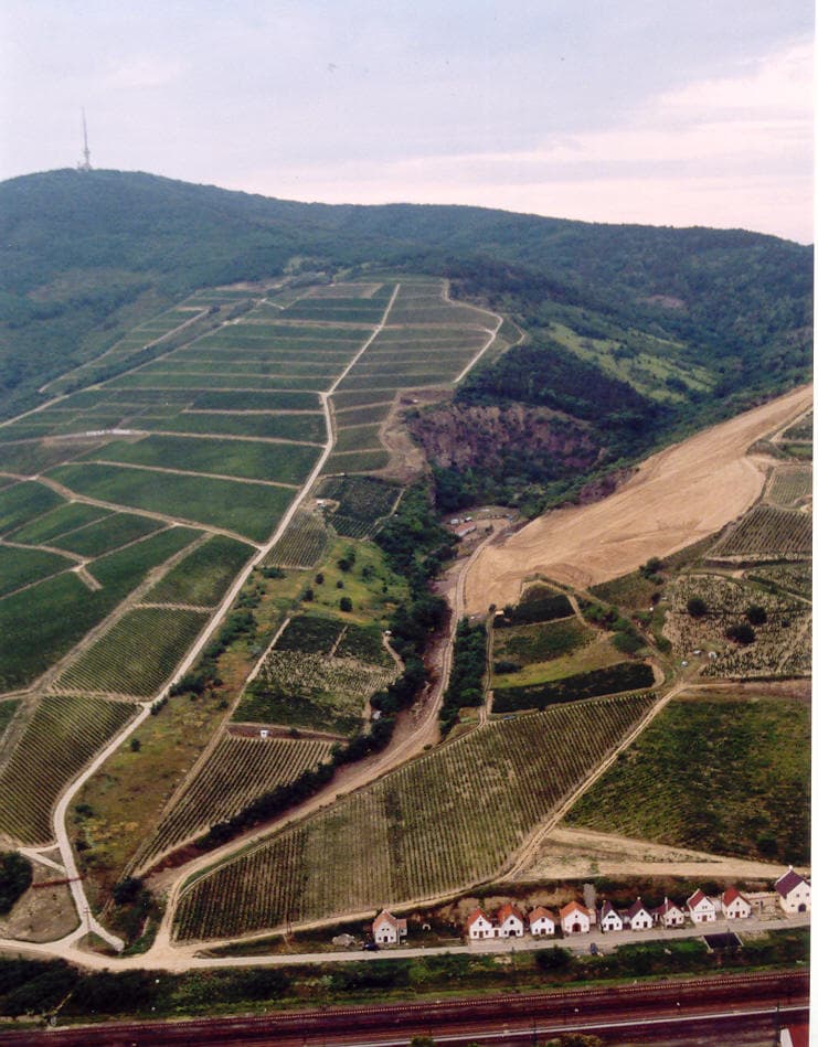 Tokaj Wine Region