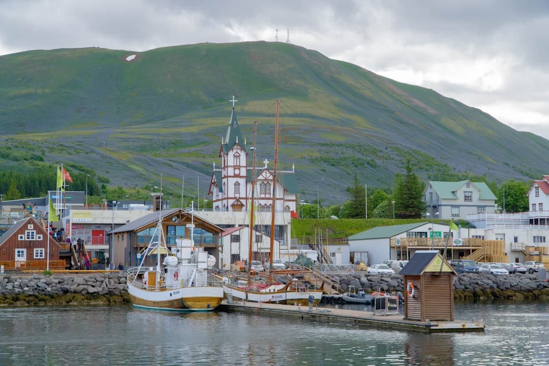 Húsavík (Whale Watching)