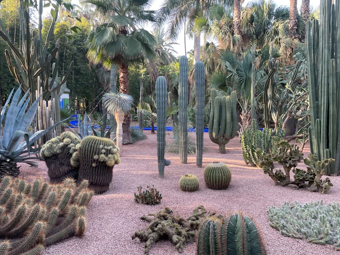 Majorelle Garden