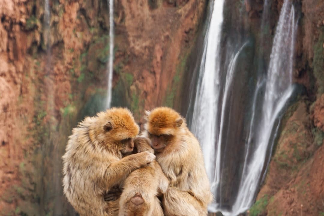 Ouzoud Waterfalls