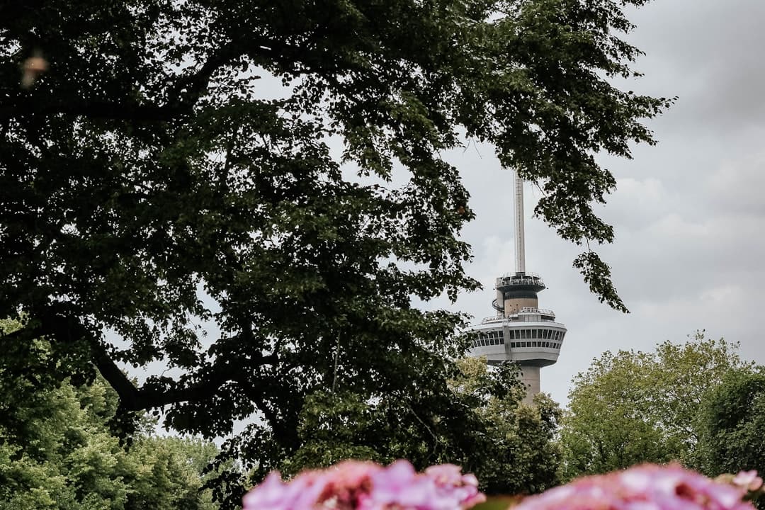 Euromast (Rotterdam)