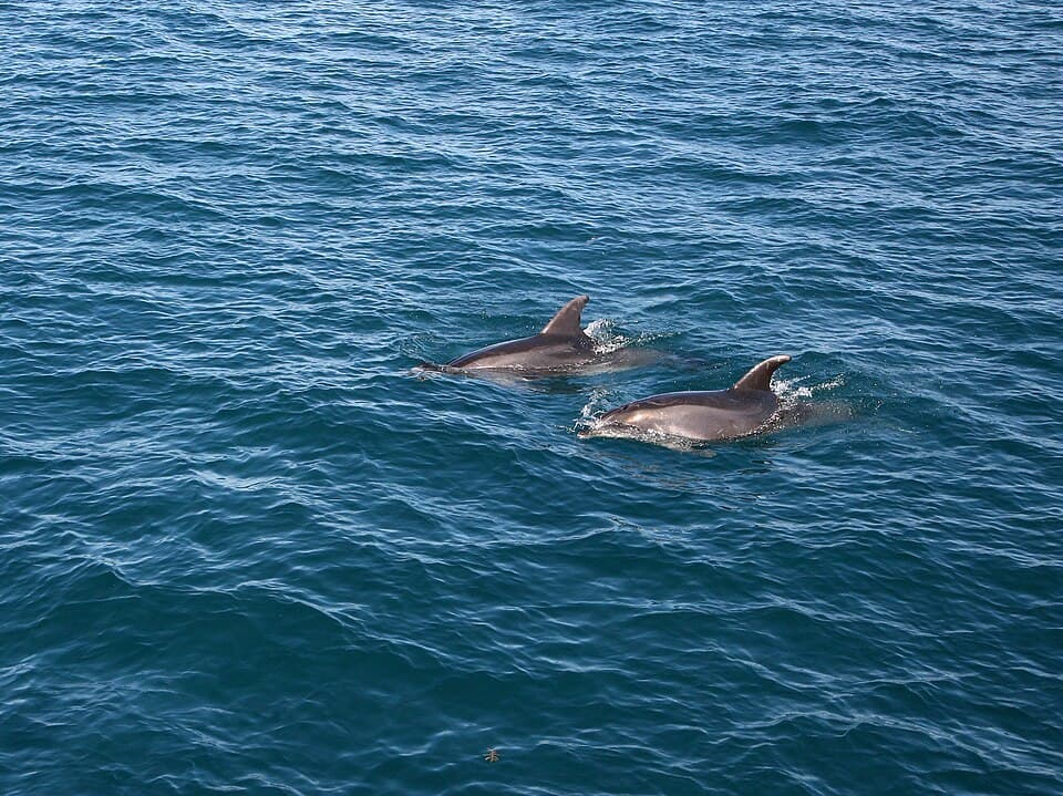Bay of Islands