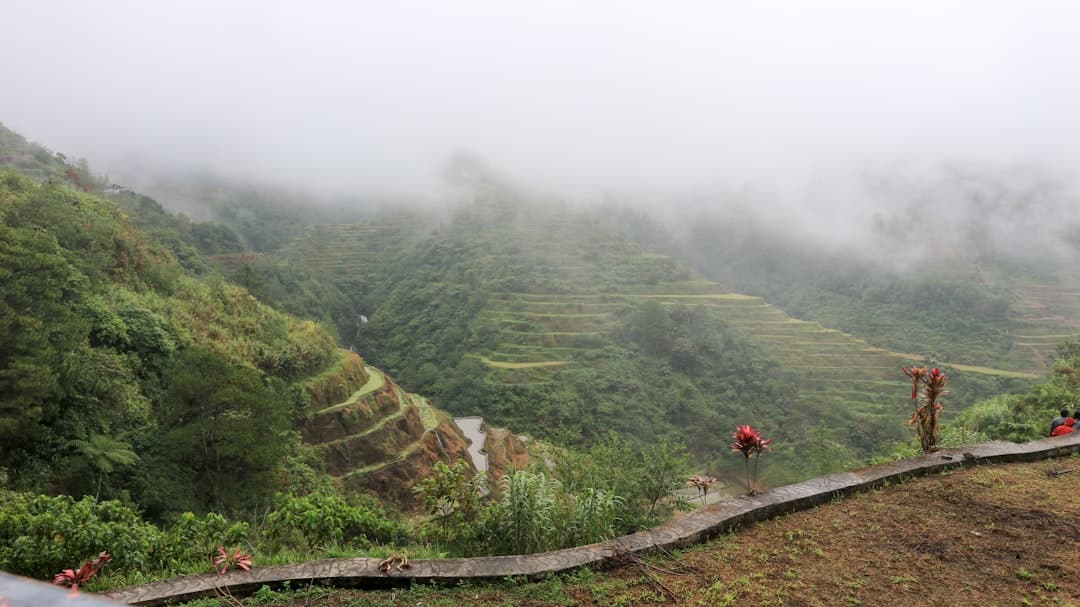 Banaue Rice Terraces