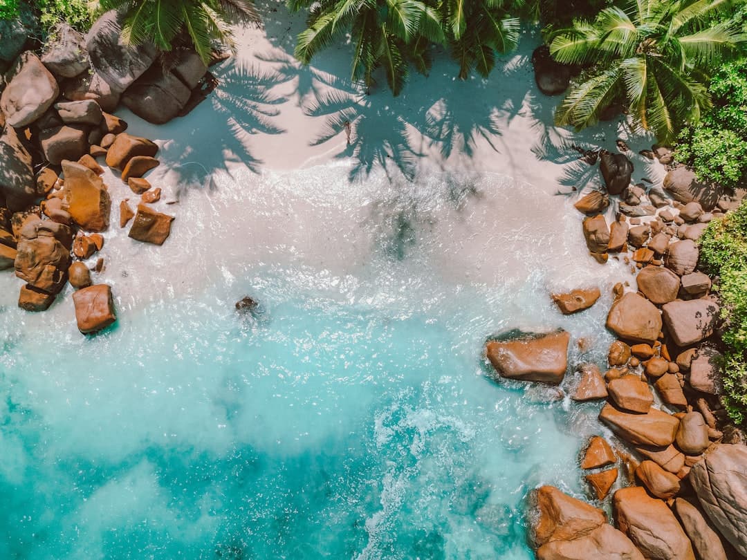 Anse Lazio