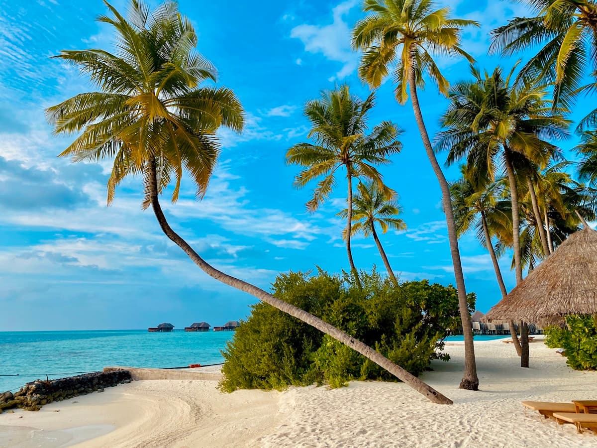 Aride Island Nature Reserve