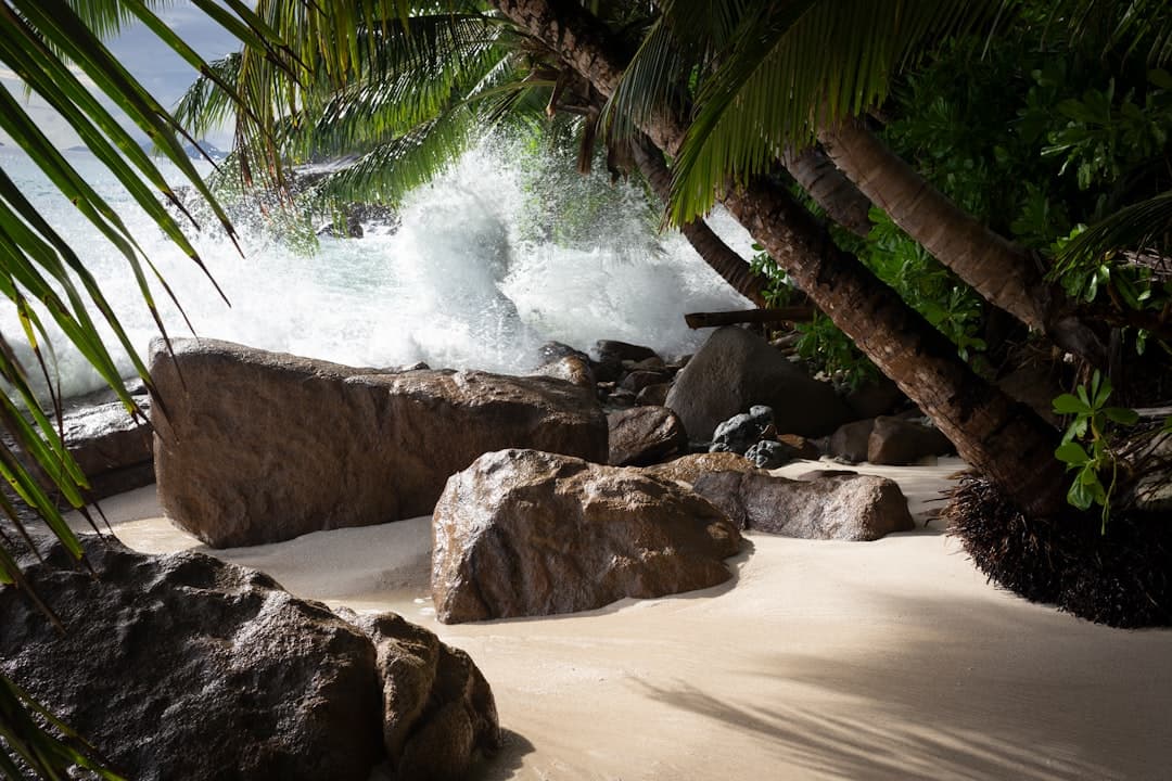 Sainte Anne Marine National Park