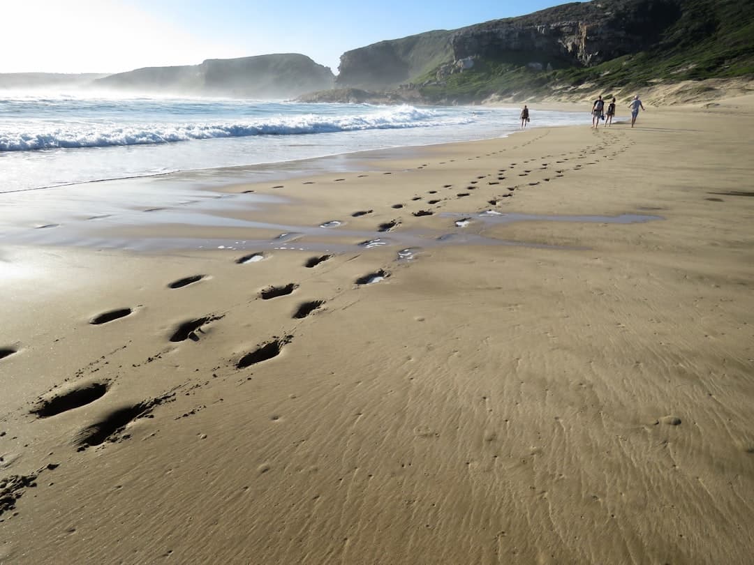 Garden Route