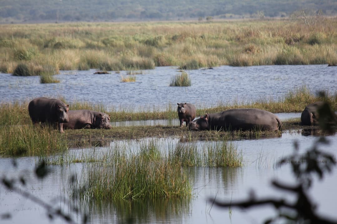 ISimangaliso Wetland Park
