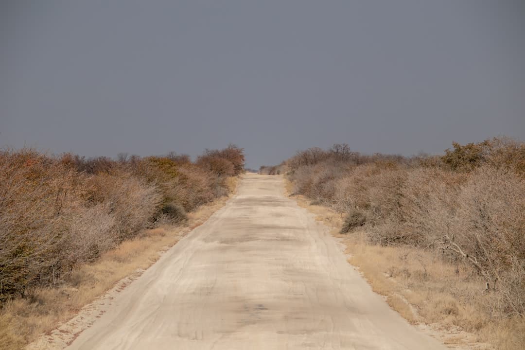 Kgalagadi Transfrontier Park