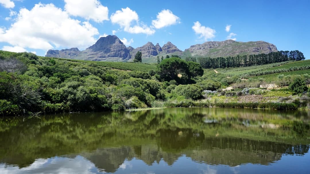 Kirstenbosch Botanical Gardens