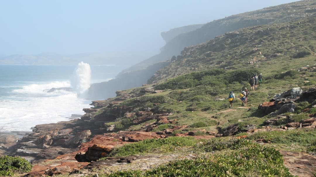 Tsitsikamma National Park
