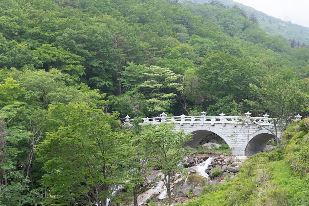 Seoraksan National Park