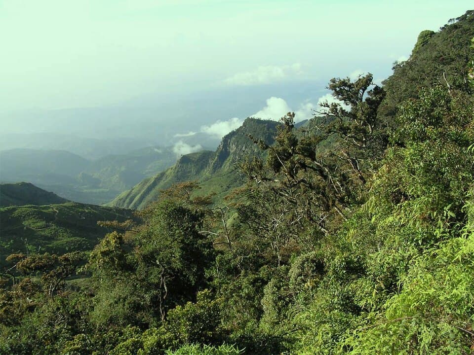 Horton Plains & World's End